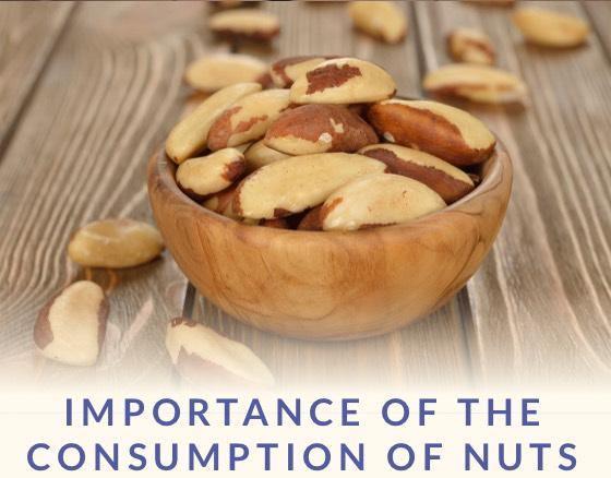 Are Nuts Good For You? (April 2020) – Dr. Sebi's Cell Food