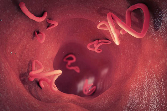 signs of parasites