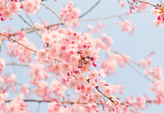 Spring cleaning with feeling