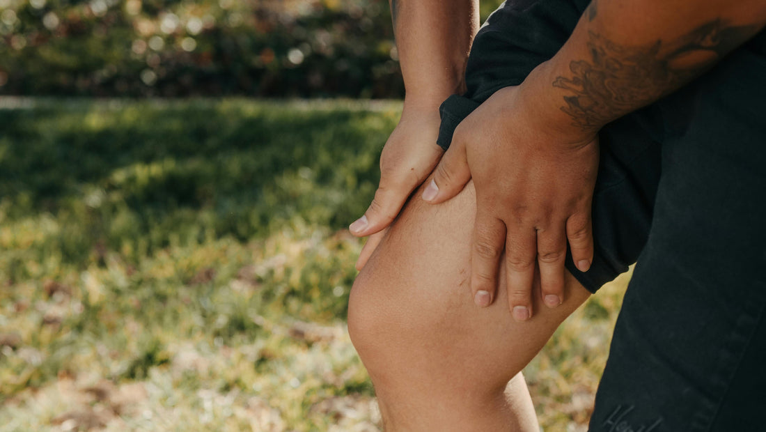 Sea Moss for Joints: A Natural Remedy for Mobility and Relief