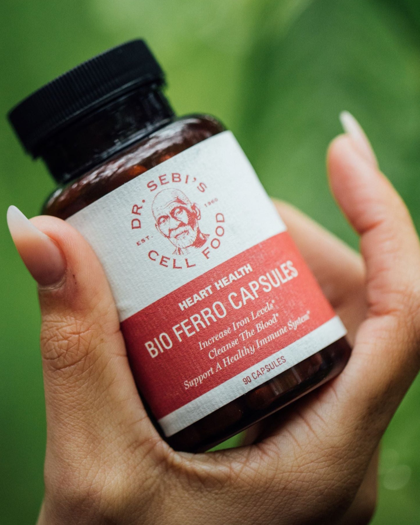 Bio Ferro Capsules