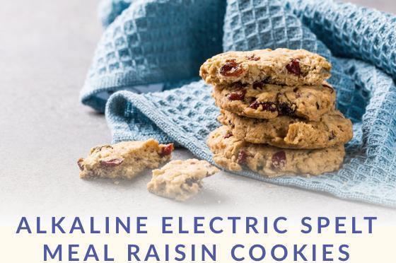Alkaline-Electric Spelt Meal Raisin Cookies - Dr. Sebi's Cell Food - Dr. Sebi's Cell Food
