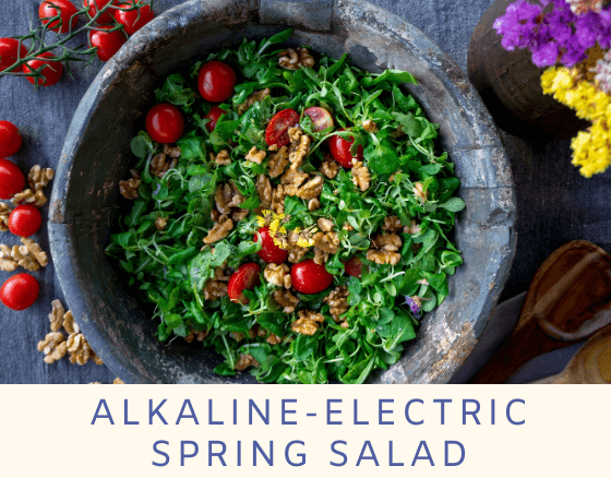 Alkaline-Electric Spring Salad - Dr. Sebi's Cell Food - Dr. Sebi's Cell Food