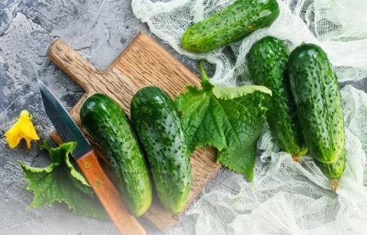 Health Benefits of Cucumbers (September 2020) – Dr. Sebi's Cell Food - Dr. Sebi's Cell Food