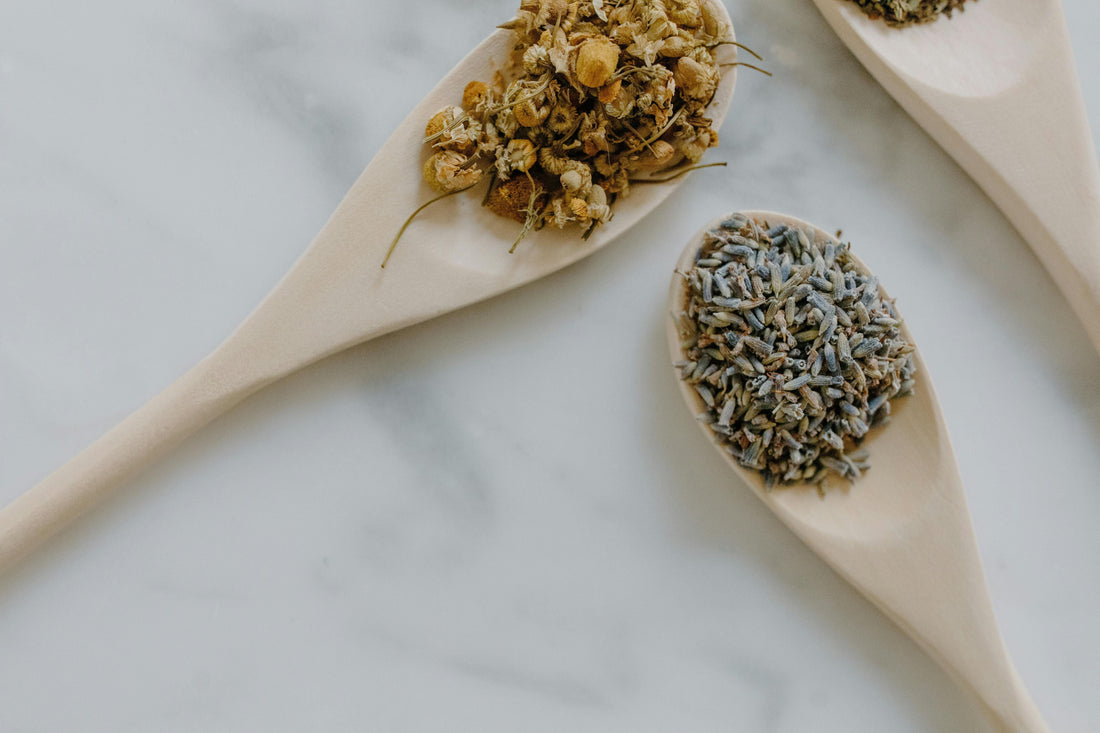 Herbal Support for Stress & Anxiety: Natural Solutions from Dr. Sebi’s Philosophy
